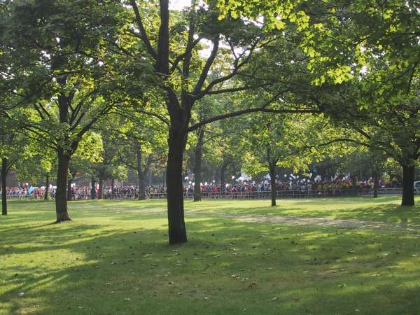 zur&uuml;ck zur Seite