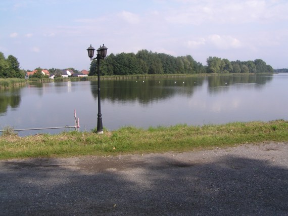 zur&uuml;ck zur Seite