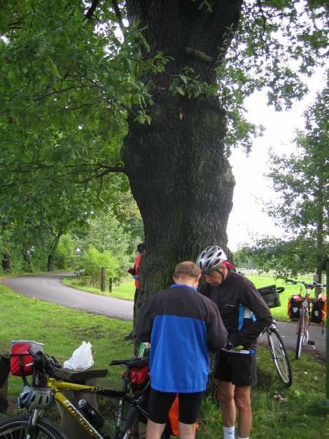 zur&uuml;ck zur Seite