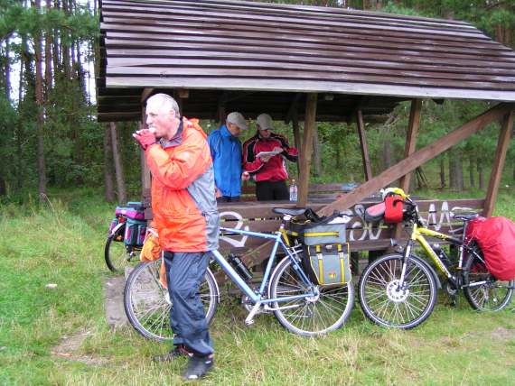 zur&uuml;ck zur Seite