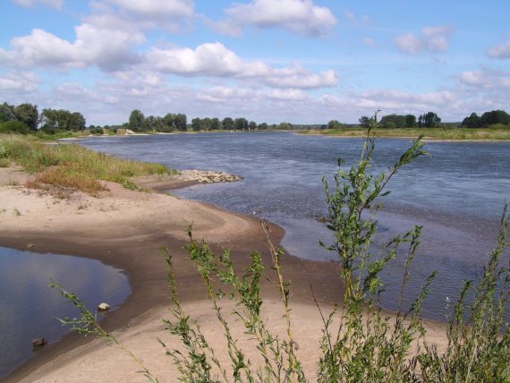 zur&uuml;ck zur Seite