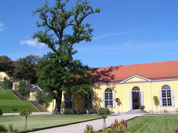 zur&uuml;ck zur Seite