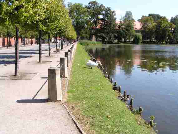 Bild zoomen