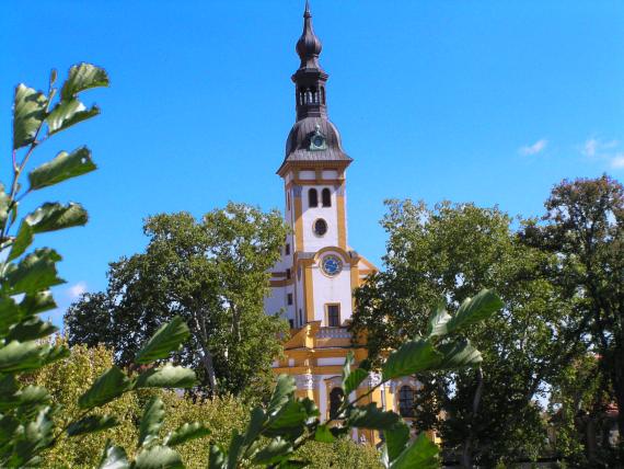 zur&uuml;ck zur Seite