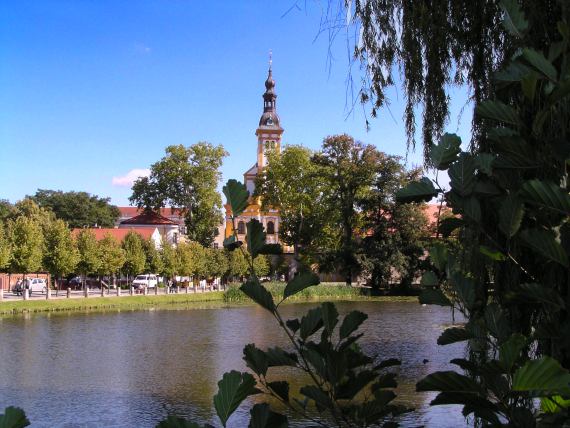 zur&uuml;ck zur &Uuml;bersicht